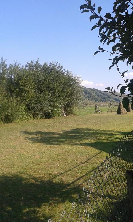 Pensiunea Popan Sajó Kültér fotó