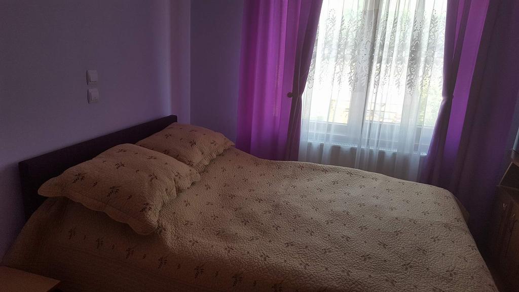 Pensiunea Popan Sajó Kültér fotó