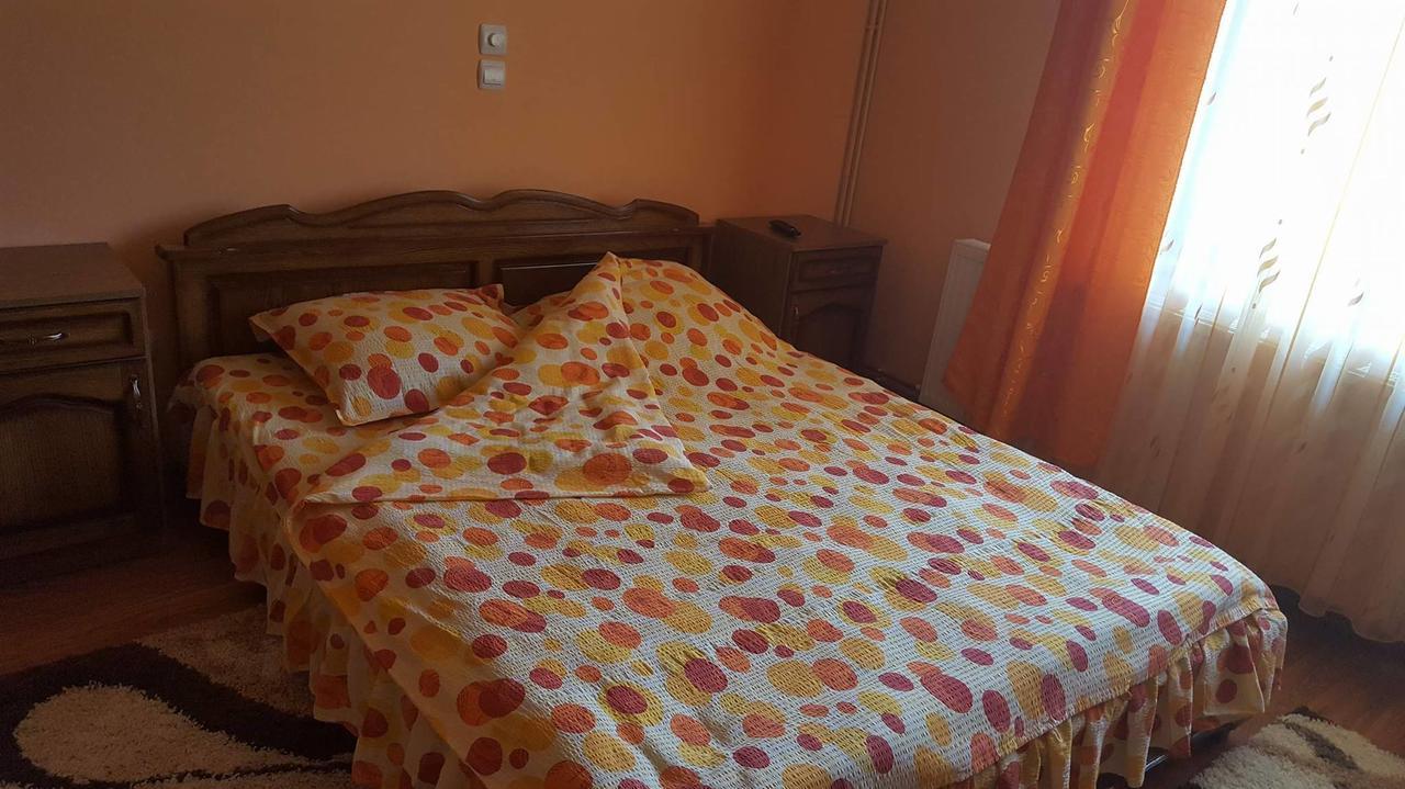 Pensiunea Popan Sajó Kültér fotó